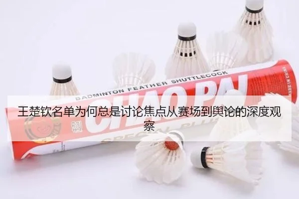 王楚钦名单为何总是讨论焦点从赛场到舆论的深度观察